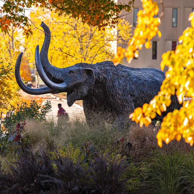 Purdue Fort Wayne Scholarship Fund image number 0